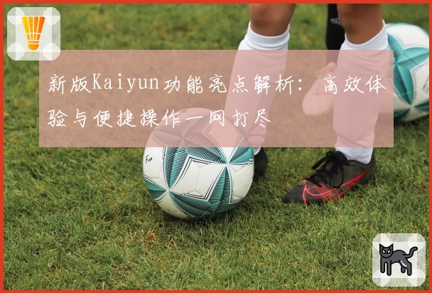 新版Kaiyun功能亮点解析：高效体验与便捷操作一网打尽