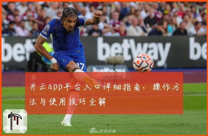 开云app平台入口详细指南，操作方法与使用技巧全解