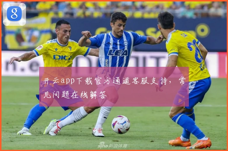 开云app下载官方通道客服支持，常见问题在线解答