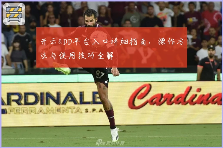开云app平台入口详细指南,操作方法与使用技巧全解